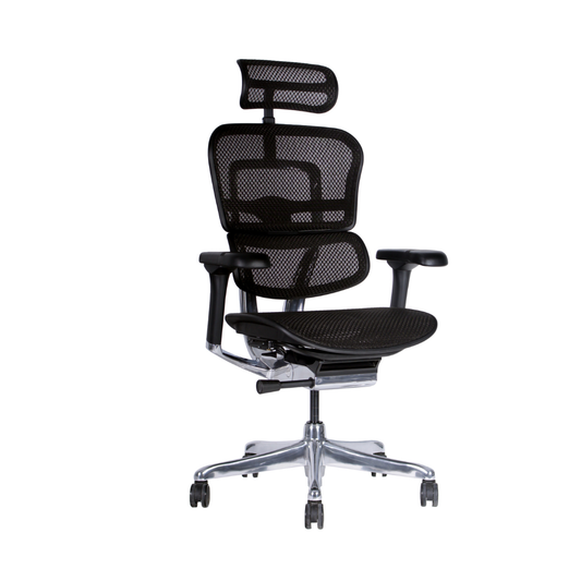 Silla de oficina Ergohuman Elit Malla