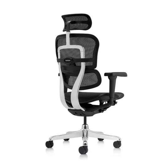 Silla de oficina Ergohuman ultra