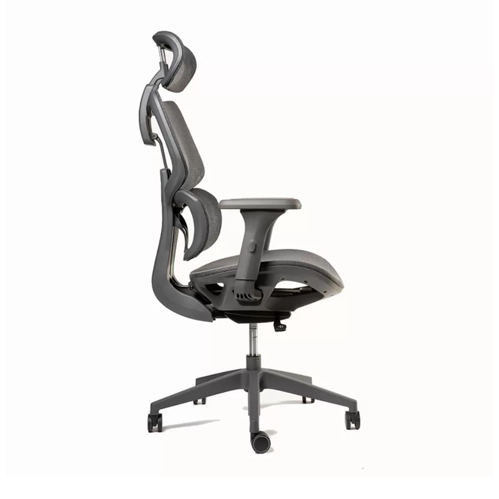 Silla Ergoplus