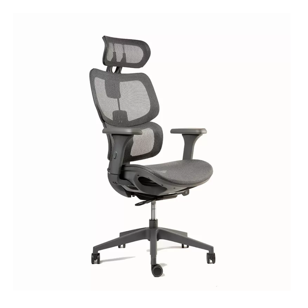 Silla Ergoplus