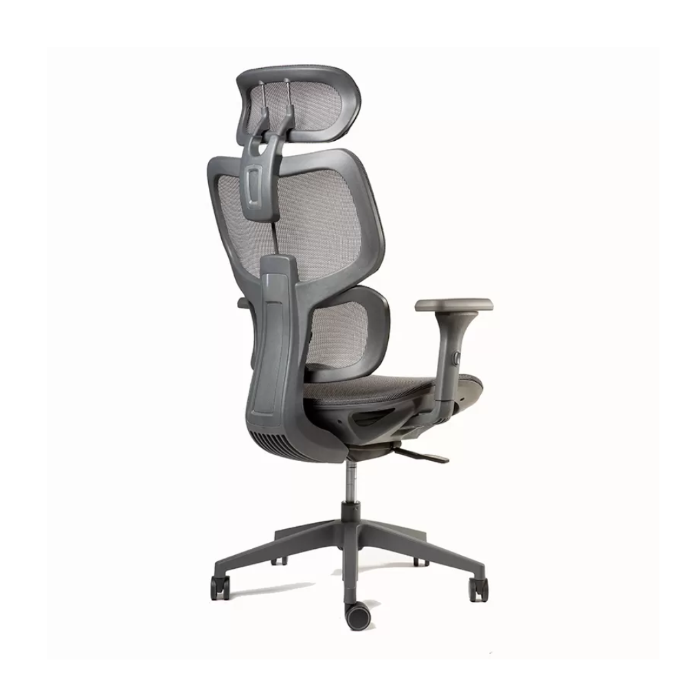 Silla Ergoplus