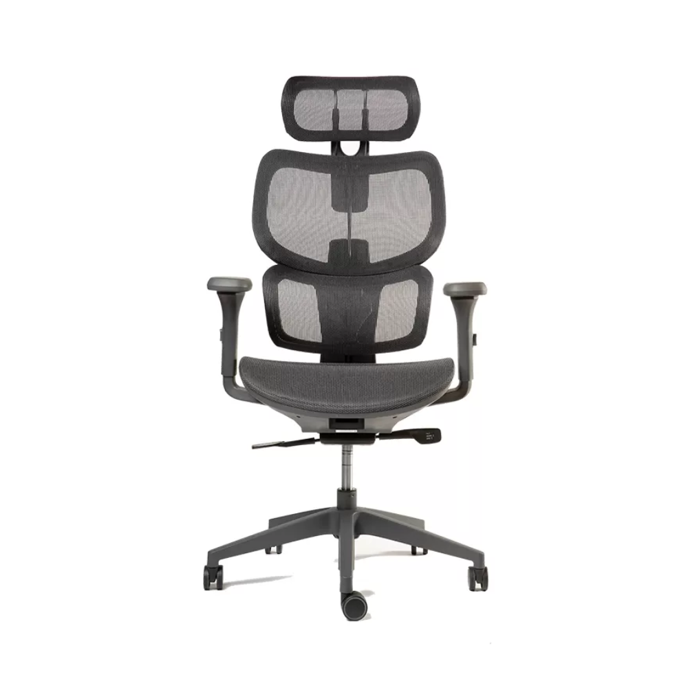 Silla Ergoplus