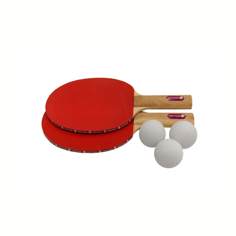 Mesa Ping pong Profesional c/Paletas y Funda