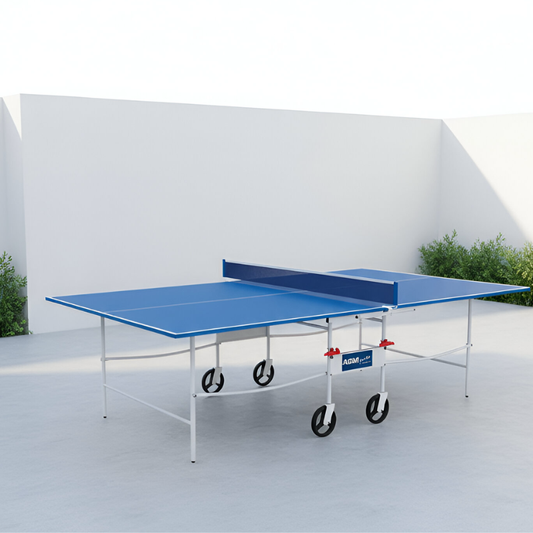 Mesa ping pong froton plus