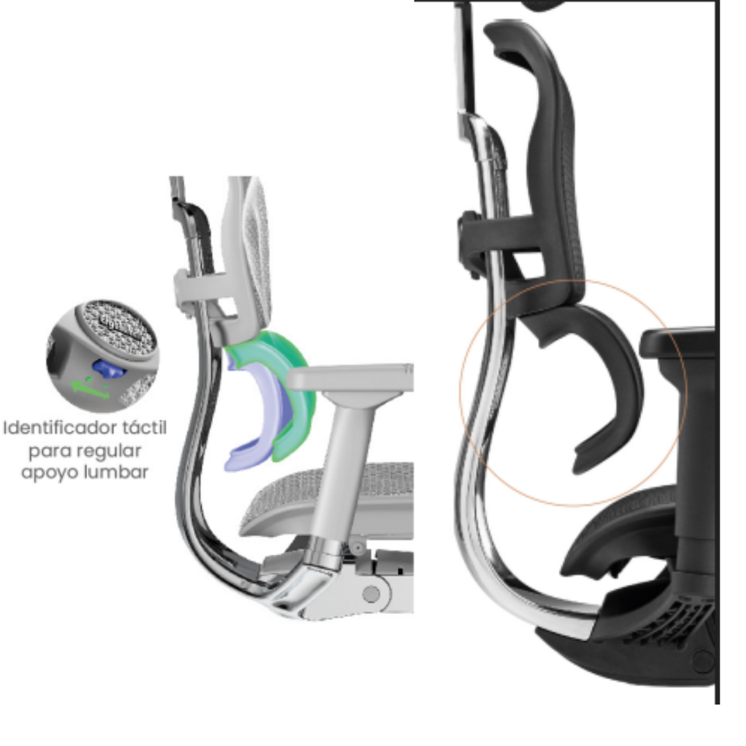 Silla de oficina Ergohuman ultra