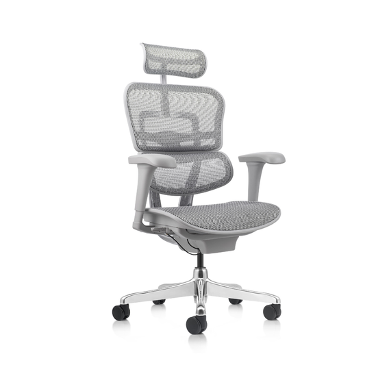 Silla de oficina Ergohuman Fit Gris