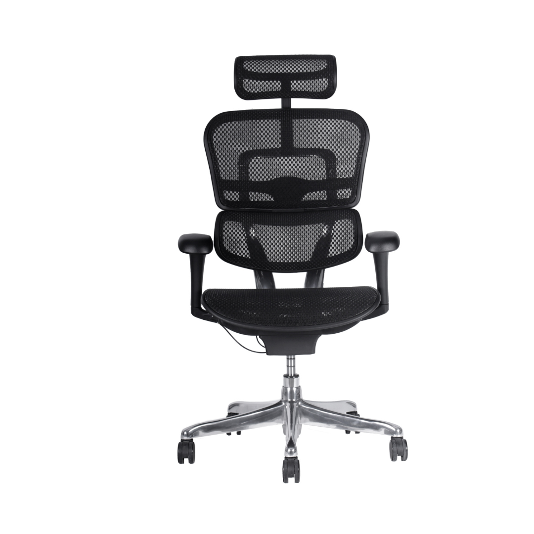 Silla de oficina Ergohuman Fit