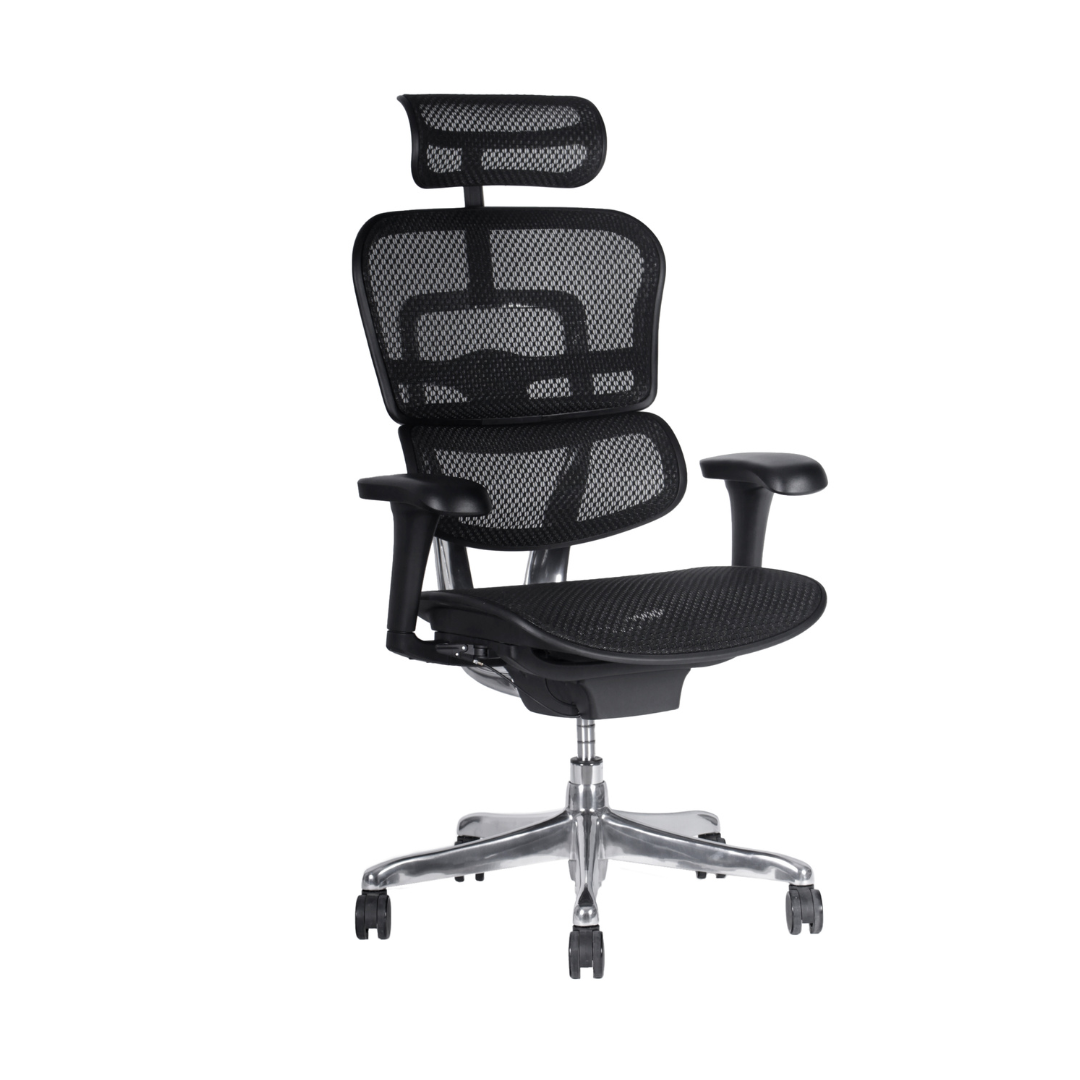 Silla de oficina Ergohuman Fit