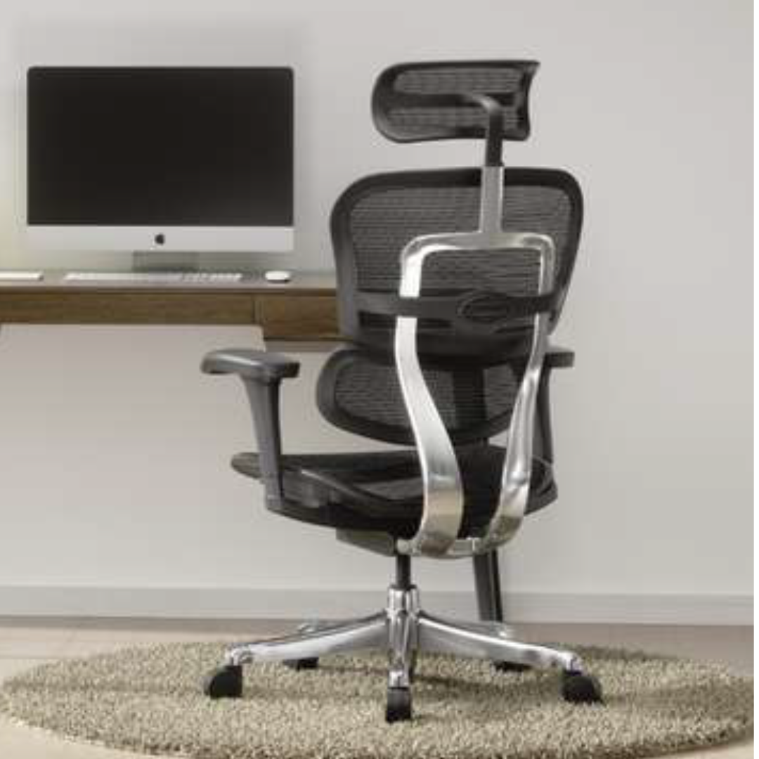 Silla de oficina Ergohuman Fit