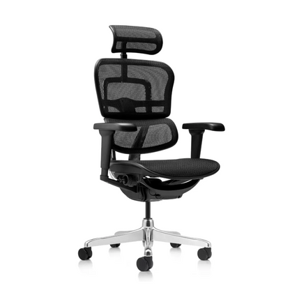 Silla de oficina Ergohuman ultra