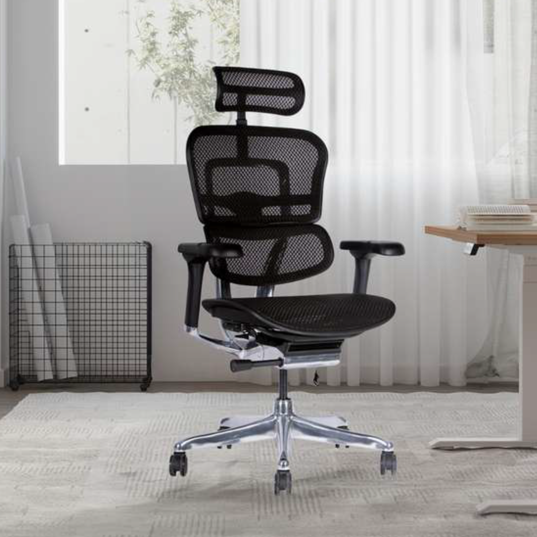 Silla de oficina Ergohuman Elit Malla