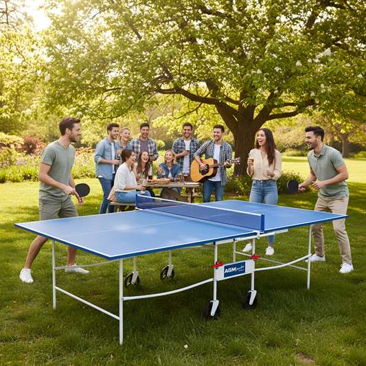 Mesa ping pong froton plus